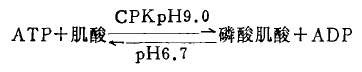 合成磷酸肌酸的一种反应式